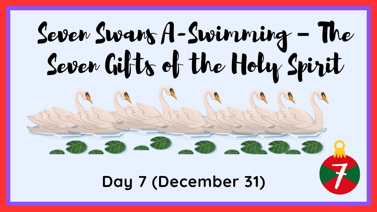 The seven swans a-swimming from the Twelve Days of Christmas